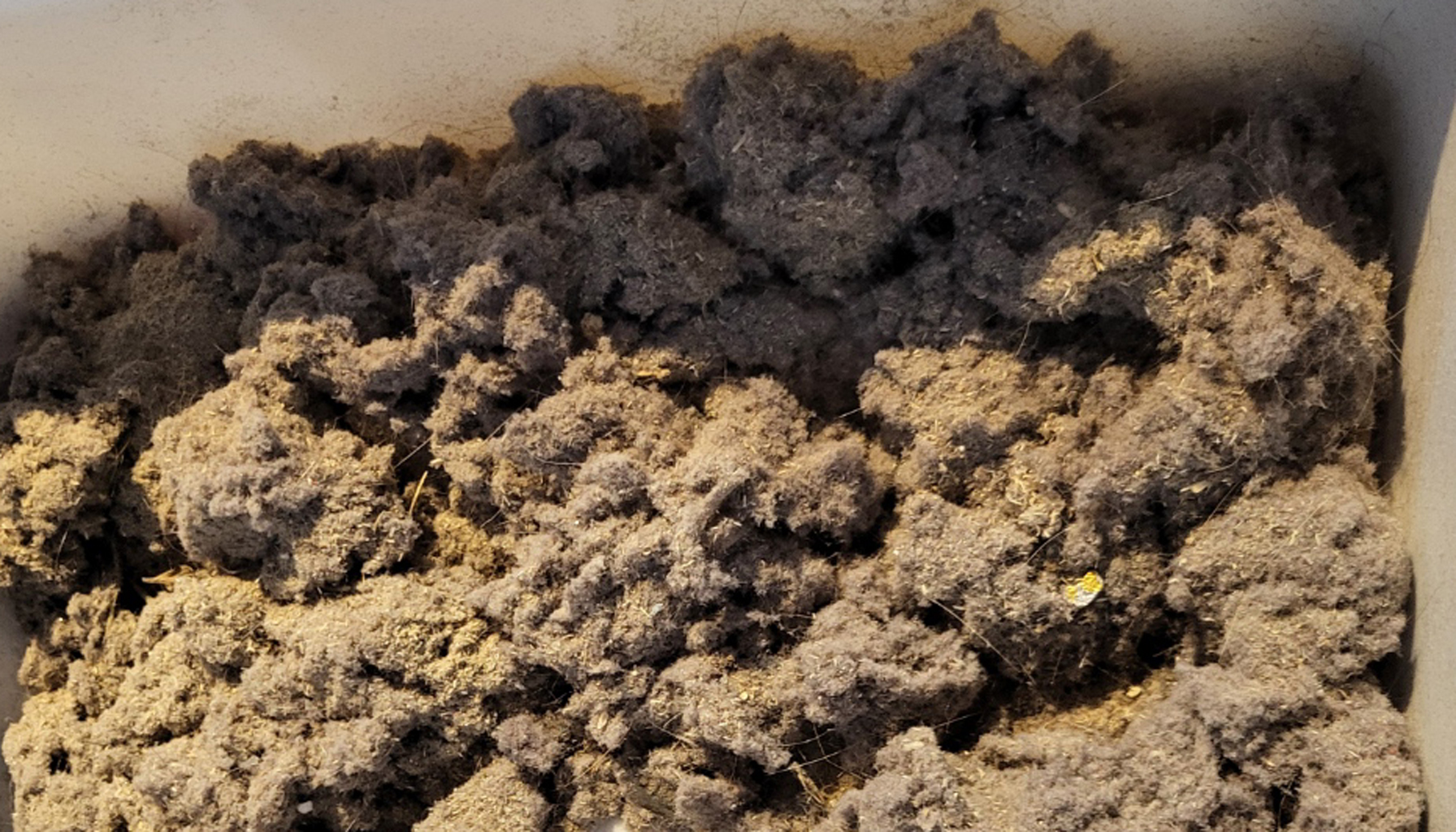 Dryer Vent Cleaning Lint Edmonton Services